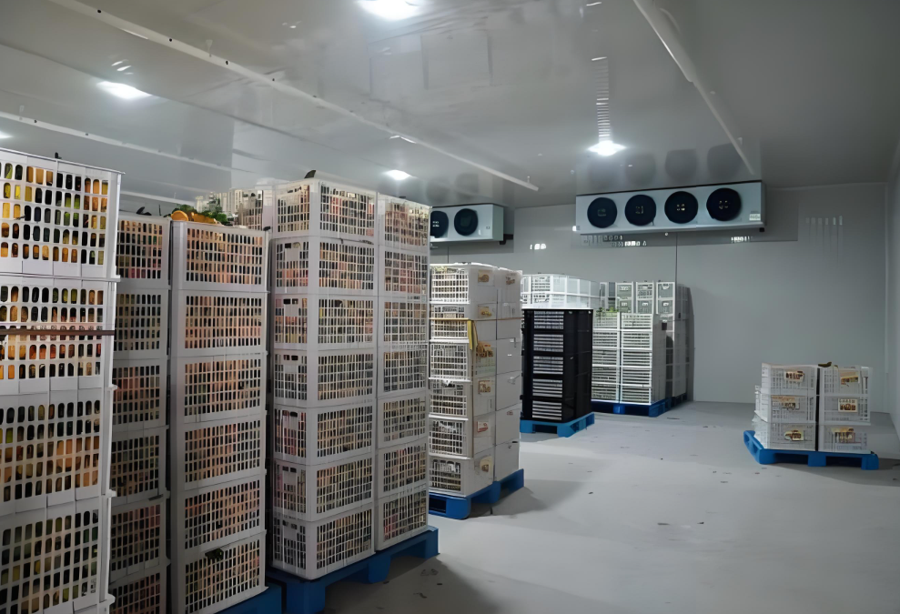 冷庫中貨物堆碼高度有限制嗎，依據(jù)是什么？